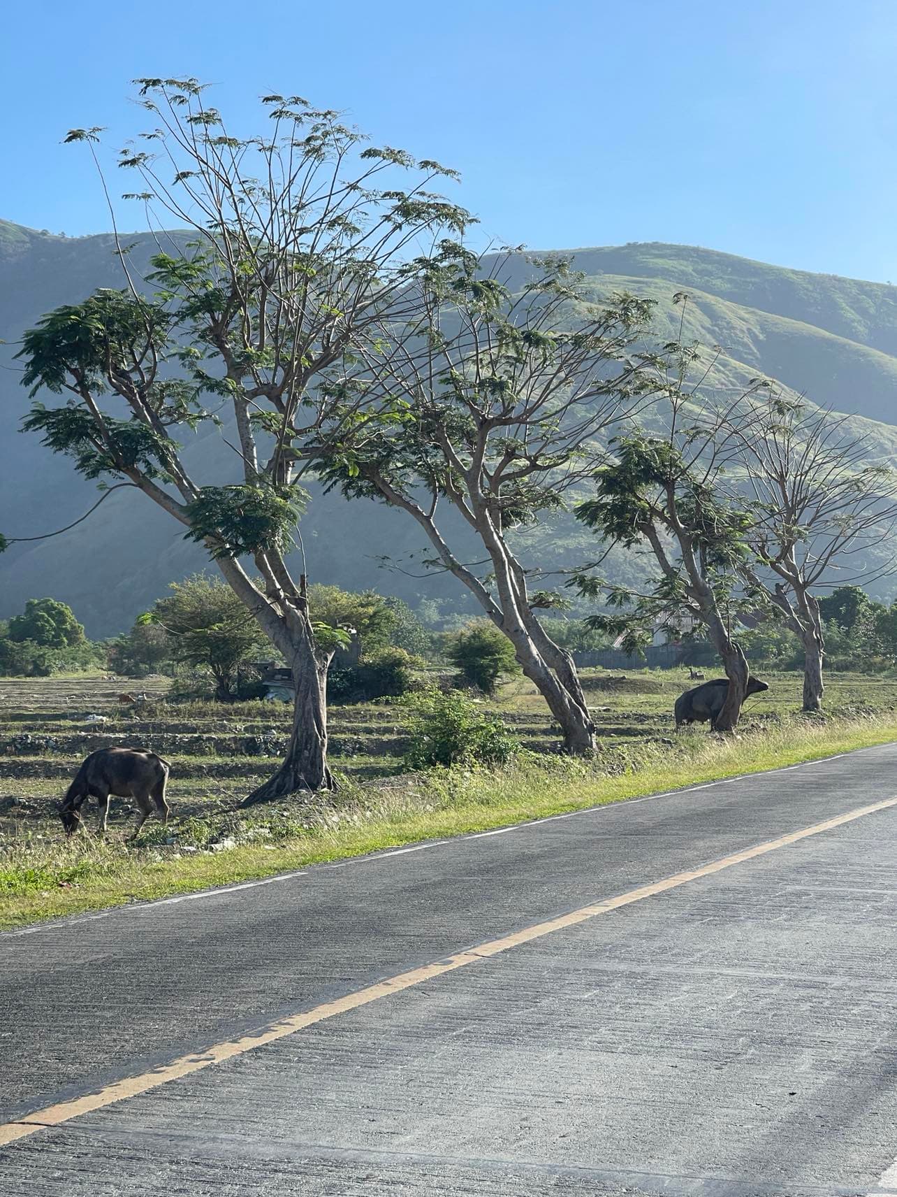 A mountain road on a weekend ride