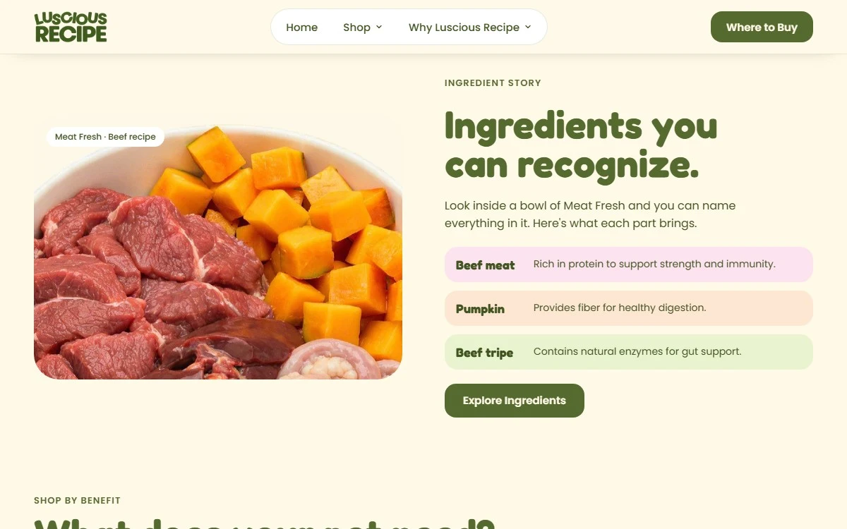Luscious Recipe Website Concept — screenshot 2 of 3